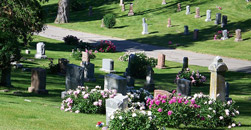 Plaut H S Cemetery